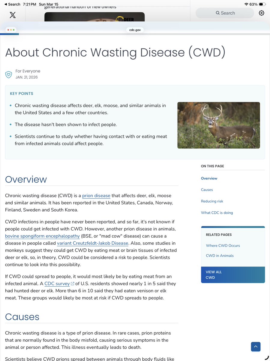 Sanity über alles.Save America,Be a Mensch! tweet media