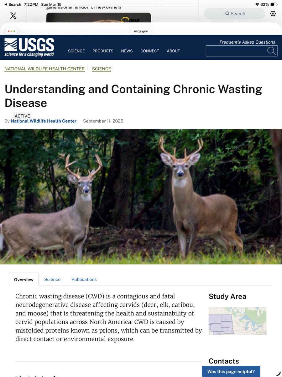 Sanity über alles.Save America,Be a Mensch! tweet media