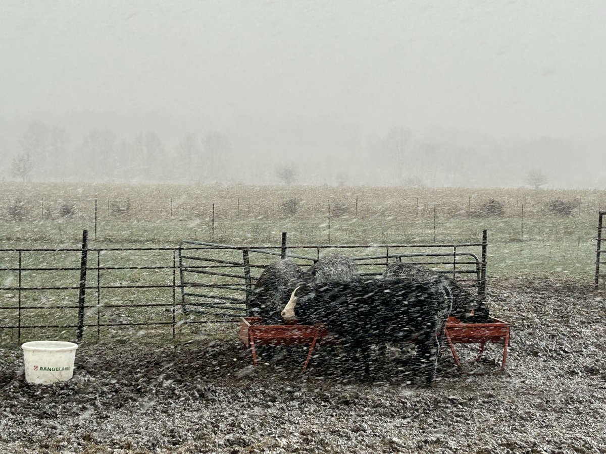 Scott Gard tweet media