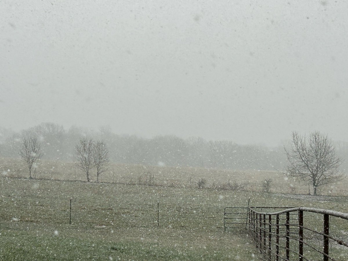 Scott Gard tweet media