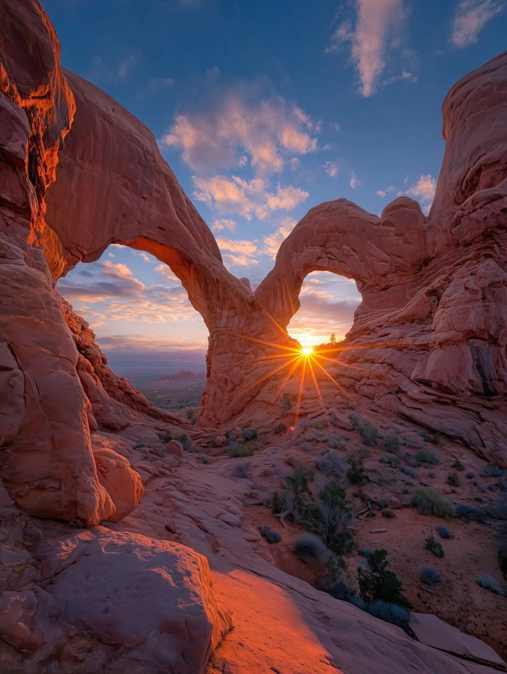 WORLD VIEW tweet media