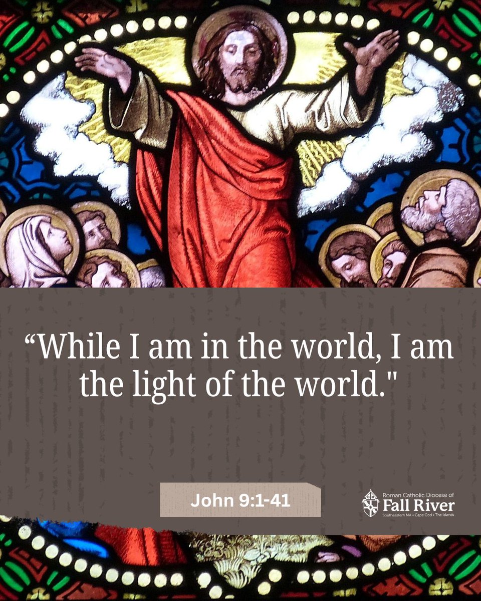 Diocese of Fall River tweet media