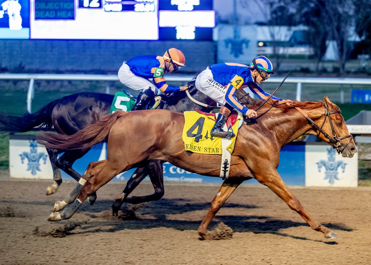 Kentucky Derby Media tweet media
