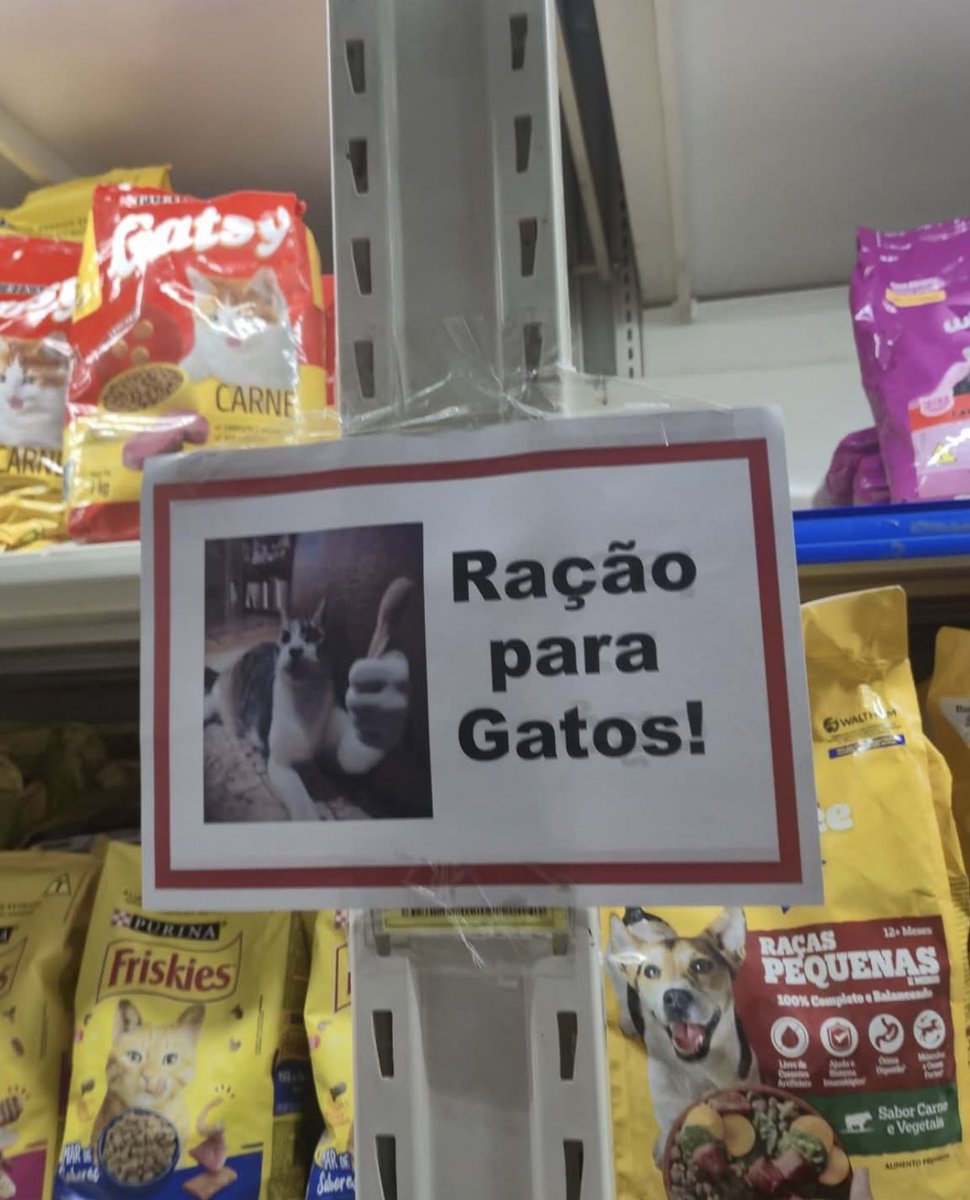 Ração para Gatos! 👍