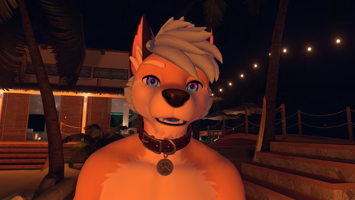 Toko ⚡️NFC26 / EF30 tweet media