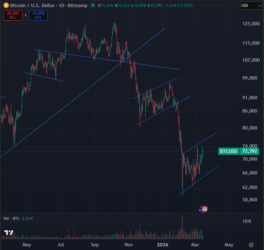 Tim Muirhead tweet media