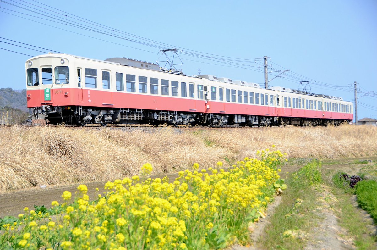 itsuki402003's tweet photo. 昨日は琴電の貸切フォトランに
会社の同僚と共通の友人と
参加させてもらいました。
せっかくだったので
春の風景で取り入れました。
#滝宮で行先を変更します https://t.co/wA0orYKgOG