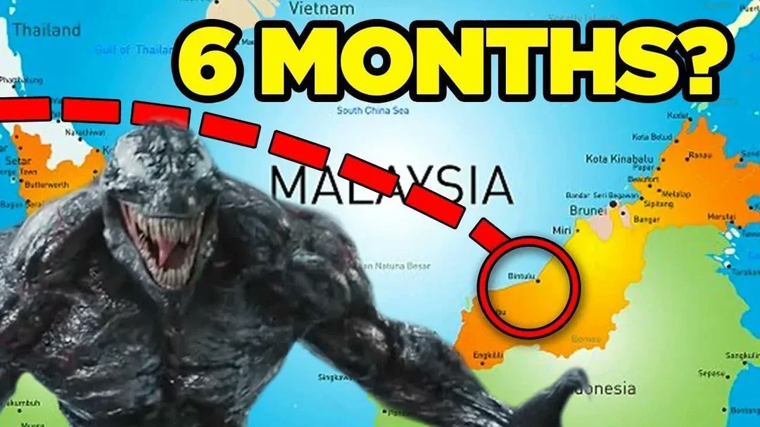 Casually Pedro tweet media