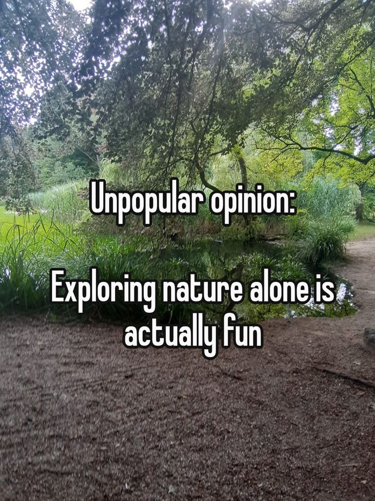 Mountain Cabins tweet media