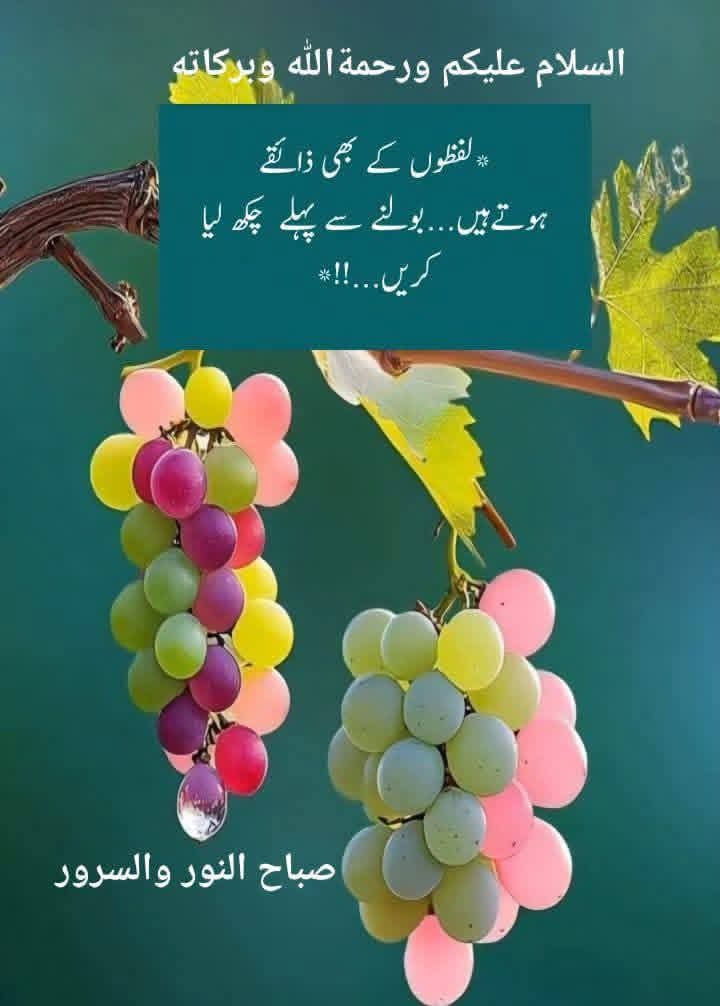 ℨ𝔢𝔢𝔰𝔥𝔞𝔫 𝔦𝔮𝔟𝔞𝔩 𝔥𝔲𝔰𝔰𝔞𝔦𝔫 tweet media