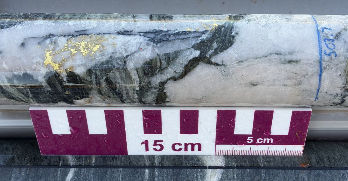 ResourcesRisingStars tweet media