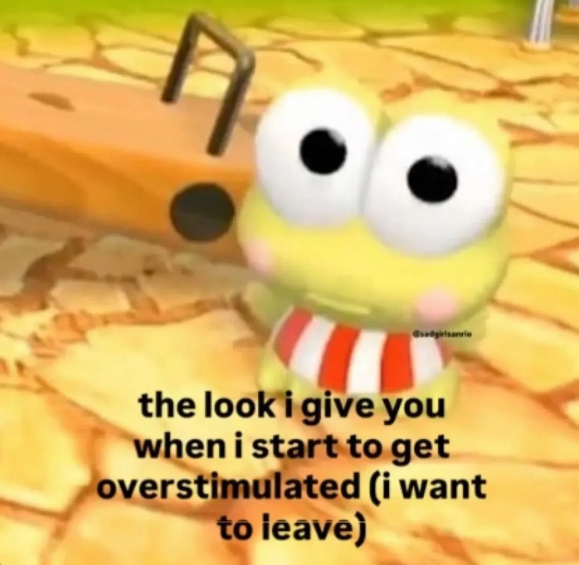 raccoon aesthetic. tweet media