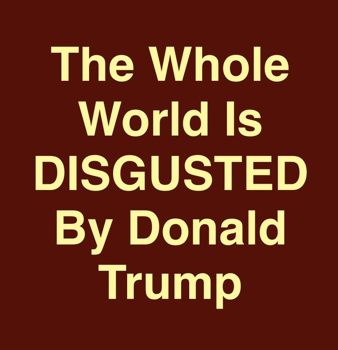 𝙻𝙰𝙸𝙻𝙰 tweet media