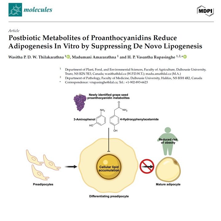 H.P. Vasantha Rupasinghe tweet media
