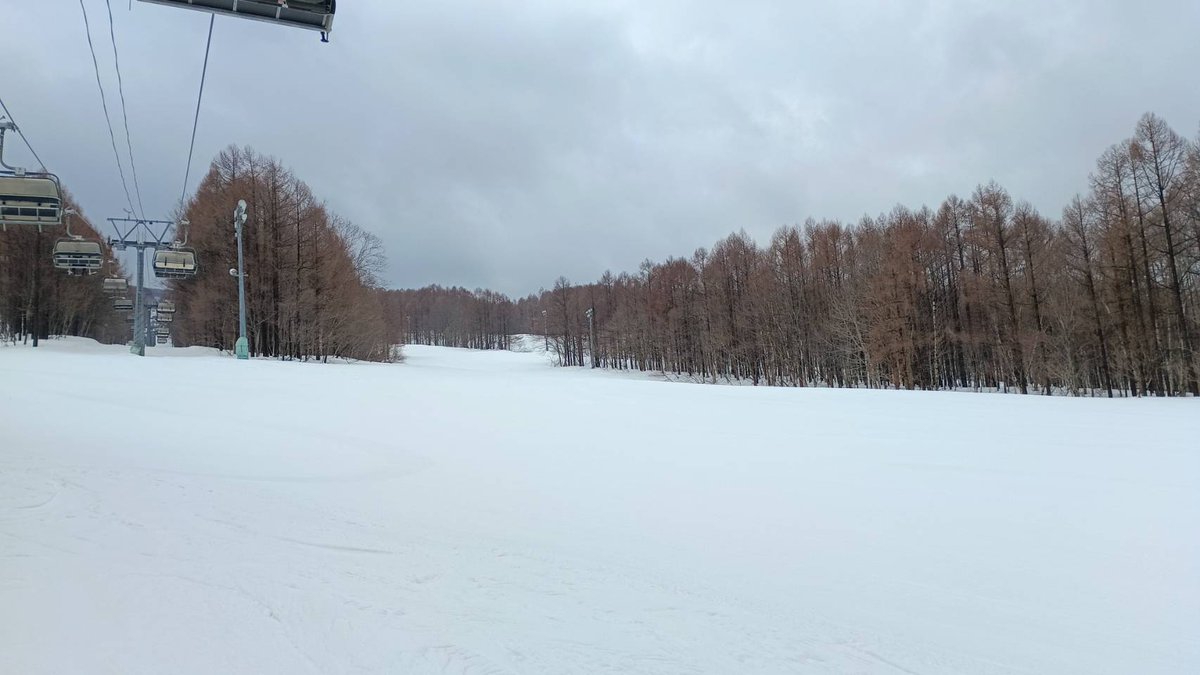 青森スプリング・スキーリゾート tweet media