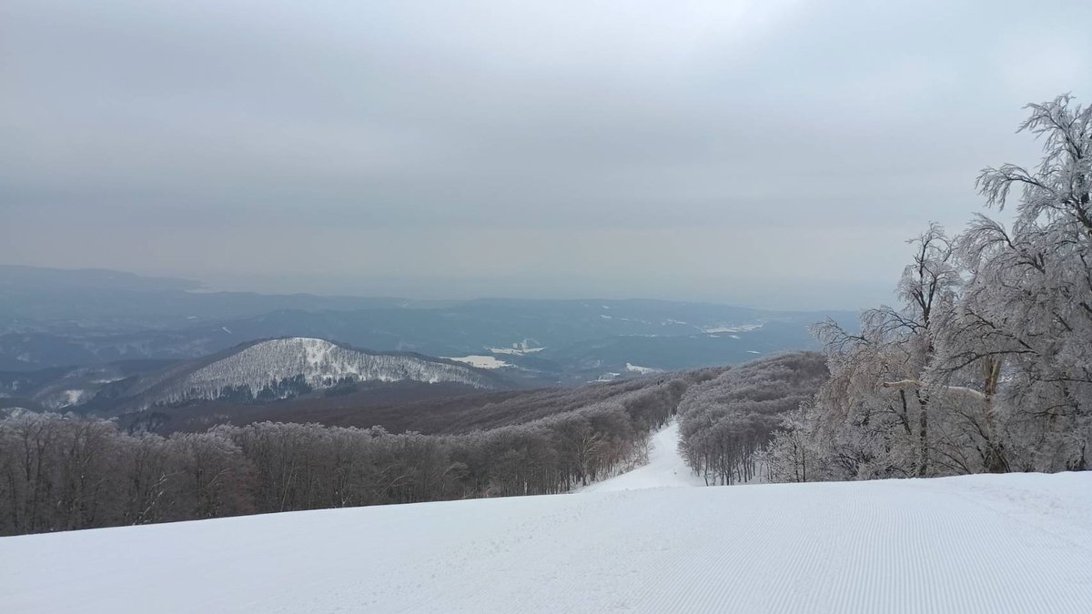 青森スプリング・スキーリゾート tweet media