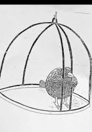 ₡△ɱ tweet media