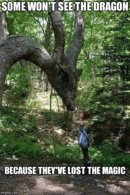 Mountain Cabins tweet media