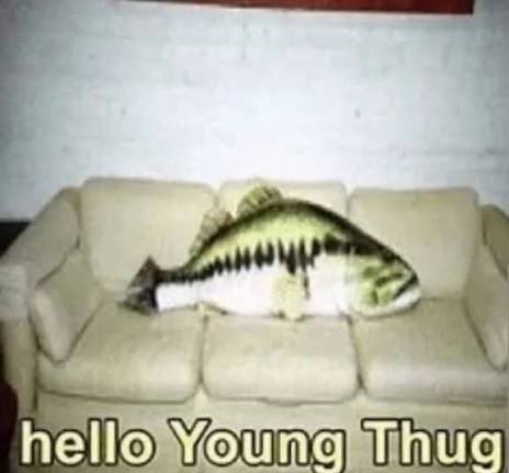 Bo Nix Enjoyer tweet media