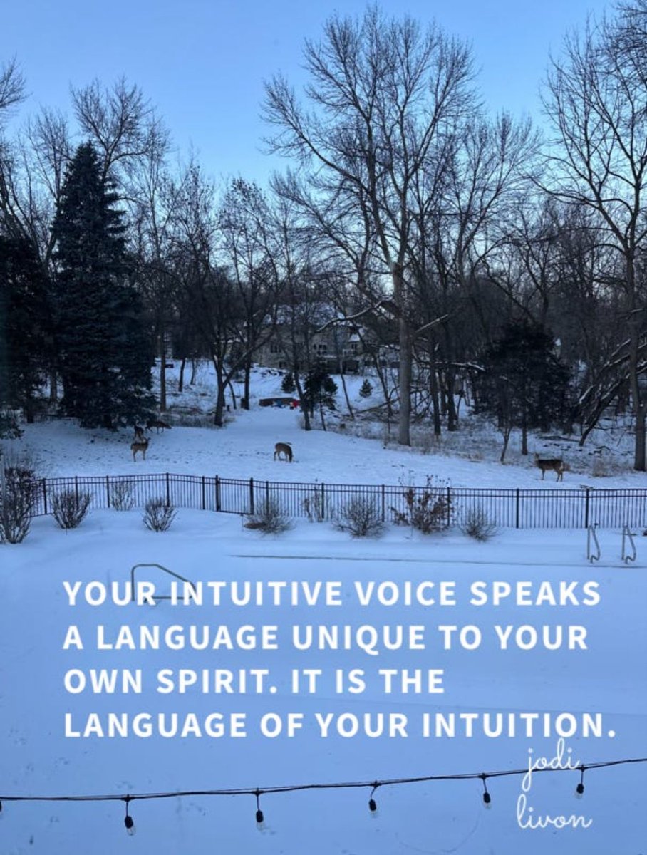 The Happy Medium®️ Jodi Livon tweet media