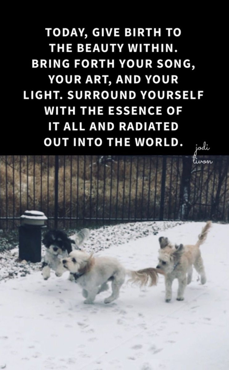 The Happy Medium®️ Jodi Livon tweet media