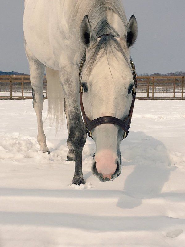 𝘒𝘢𝘨𝘶𝘺𝘢 𝘚𝘢𝘮𝘢 𝘍𝘢𝘯 ~愛~ tweet media