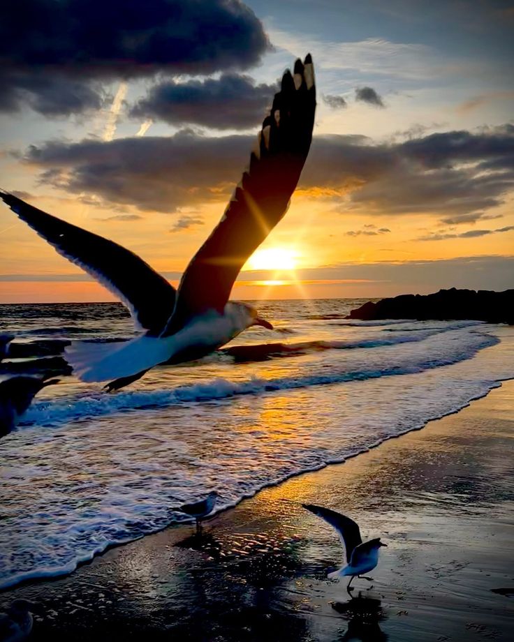 Ayesha Khan tweet media