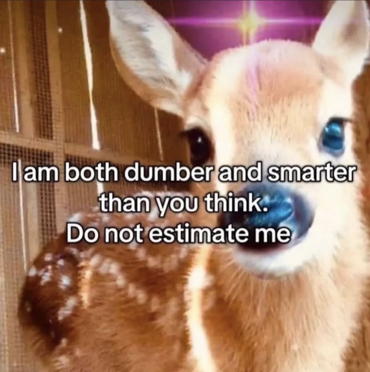 𝐉𝐞𝐬𝐬𝐢𝐞 🌊 tweet media