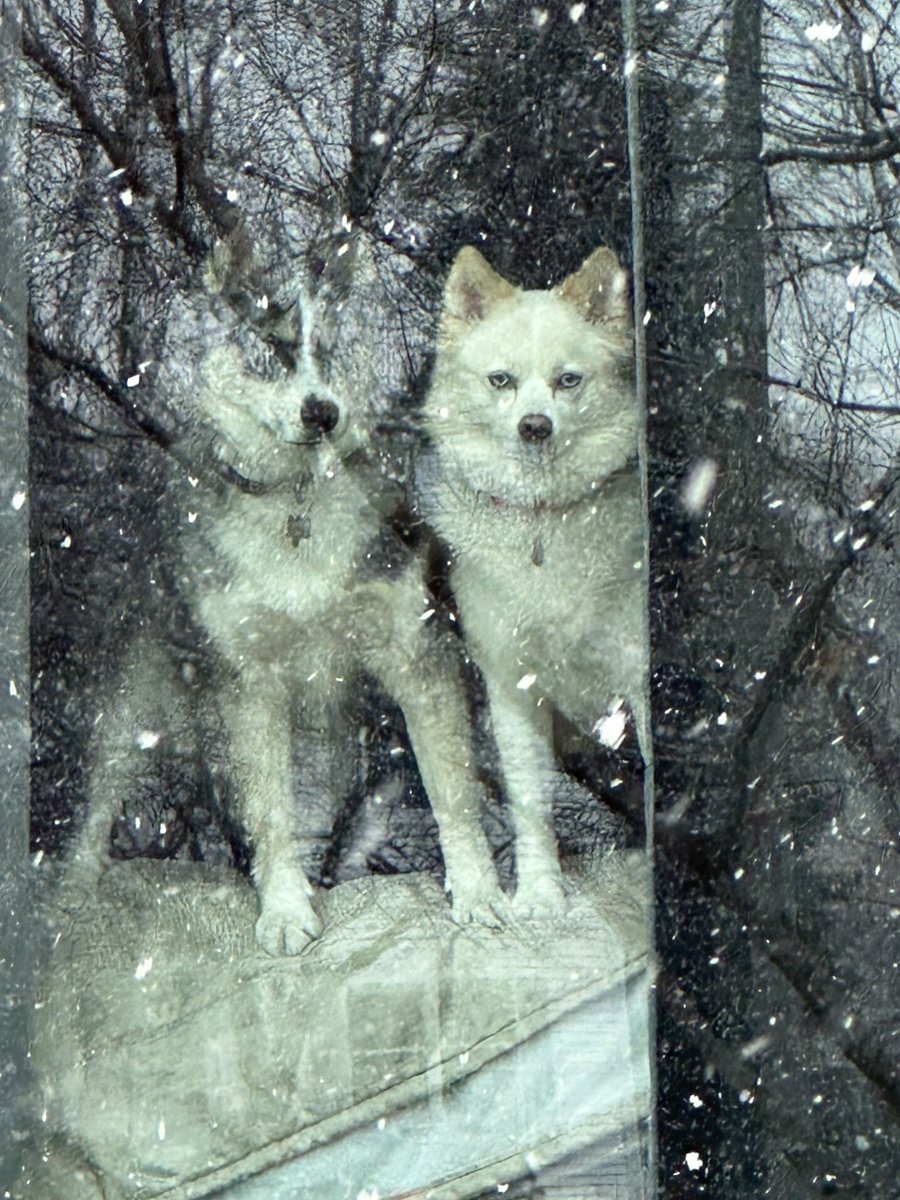 WarWar™ tweet media