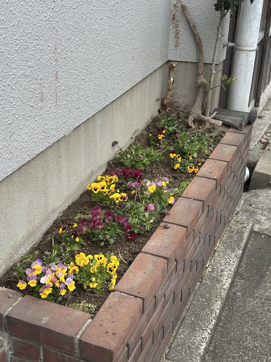 Tsuji Yoshimitsu tweet media