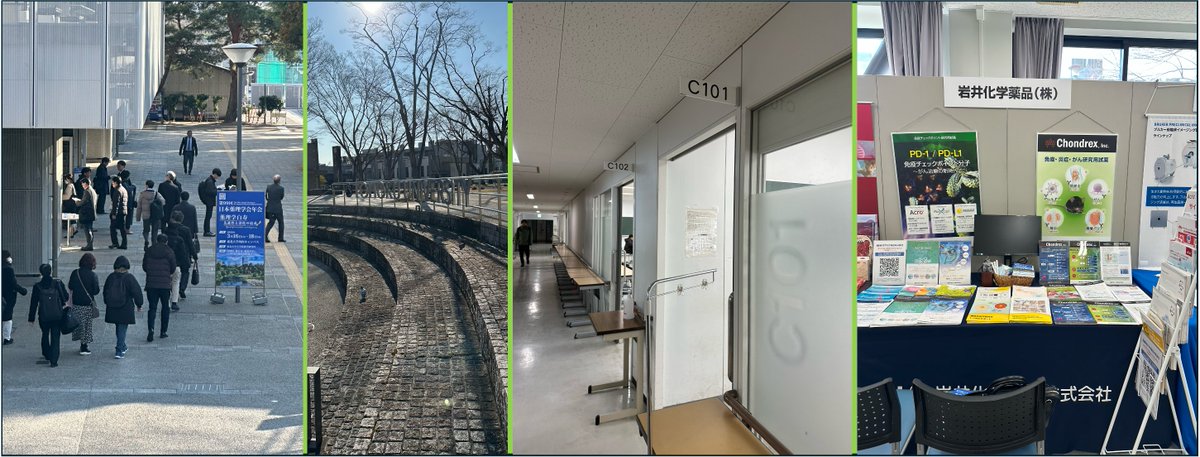 chondrexincjp's tweet photo. 【薬理学会SP】
皆さまおはようございます😊
本日、第99回日本薬理学会年会スタートです!
講義棟C棟の1階、C102教室の岩井化学薬品ブースで皆さまをお待ちしております😆。がん、関節炎、アレルギー、炎症応答にご興味のある方、ぜひお立ち寄りください!
#薬理学会
#Chondrex
#岩井化学 https://t.co/LnpGVYdsqL