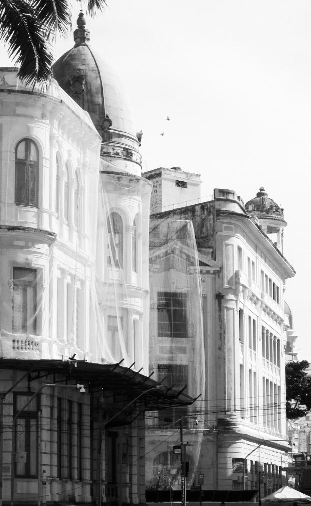 fiuliana galado tweet media