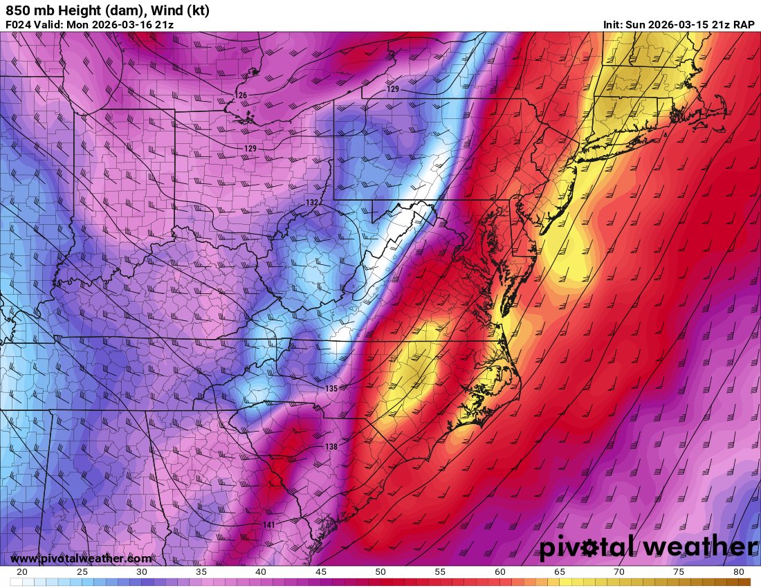 Jack Rudden tweet media