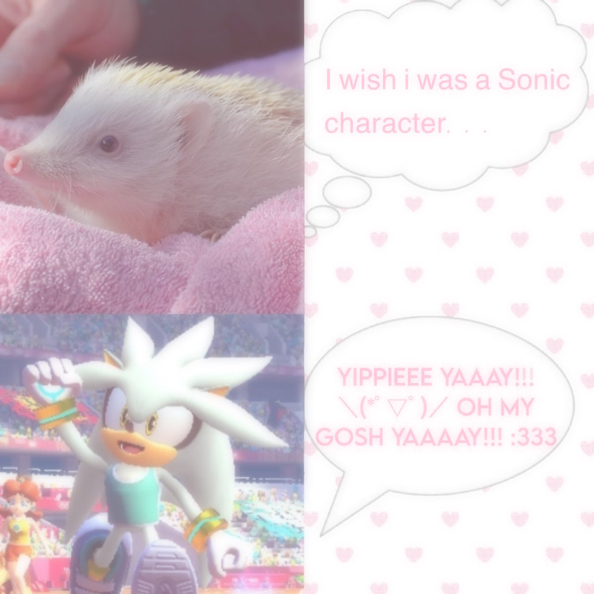 Daily Silver 🍉 tweet media