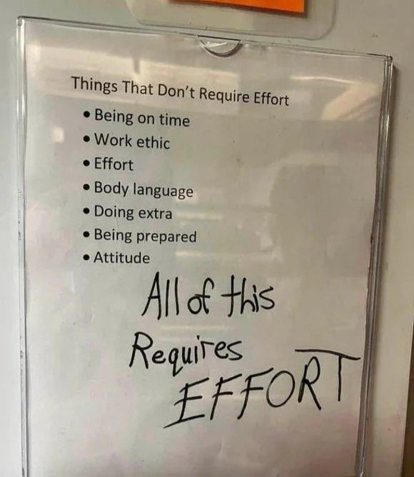 No Nonsense Neurodivergent tweet media