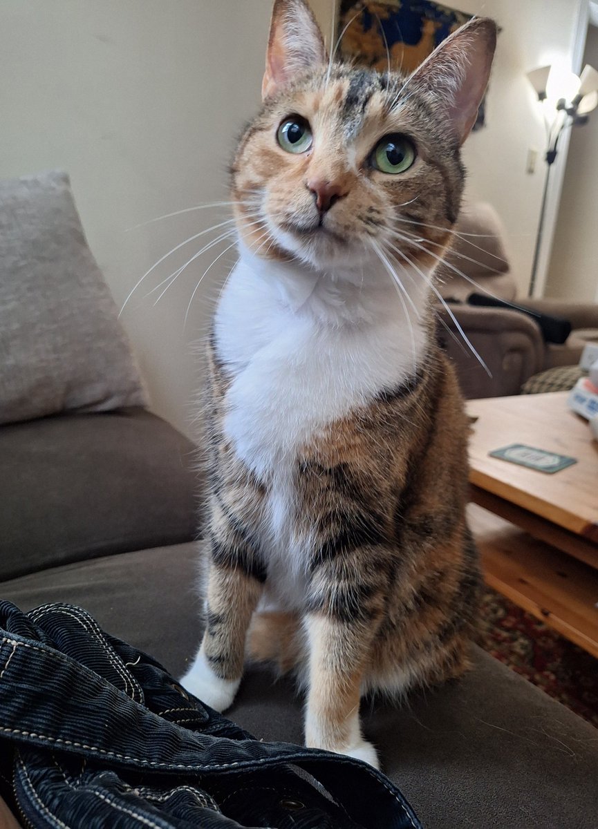 Molly World tweet media