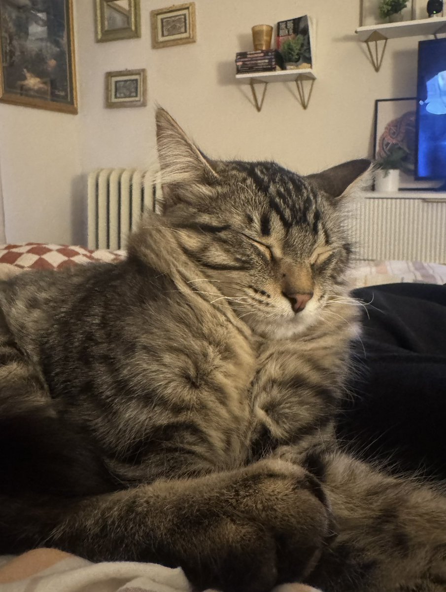 i feel like he's starting to fluff up again