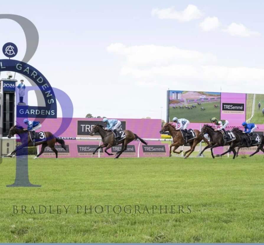 tonygollan's tweet photo. 💥WINNER OF THE WEEK 💥
Our #WinnerOfTheWeek is Pembrey.
Pembrey won the G3 Magic Night Stakes 1200m at Rosehill on Saturday ridden by James McDonald & strapped by Lacey Ross.
Now to the G1 Golden Slipper this Saturday!
📸 Bradley Photographers
▶️ https://t.co/lf03NuuqWY https://t.co/JgvPd2lMQY