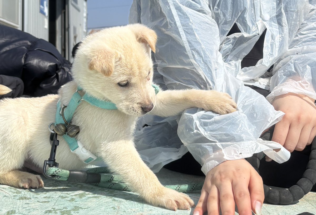 부산동물보호센터 봉사자😎 tweet media