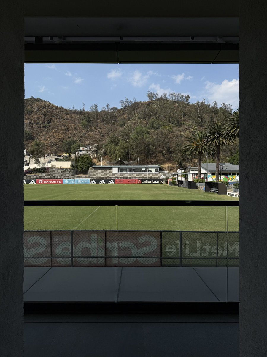 Fernanda Rg. tweet media