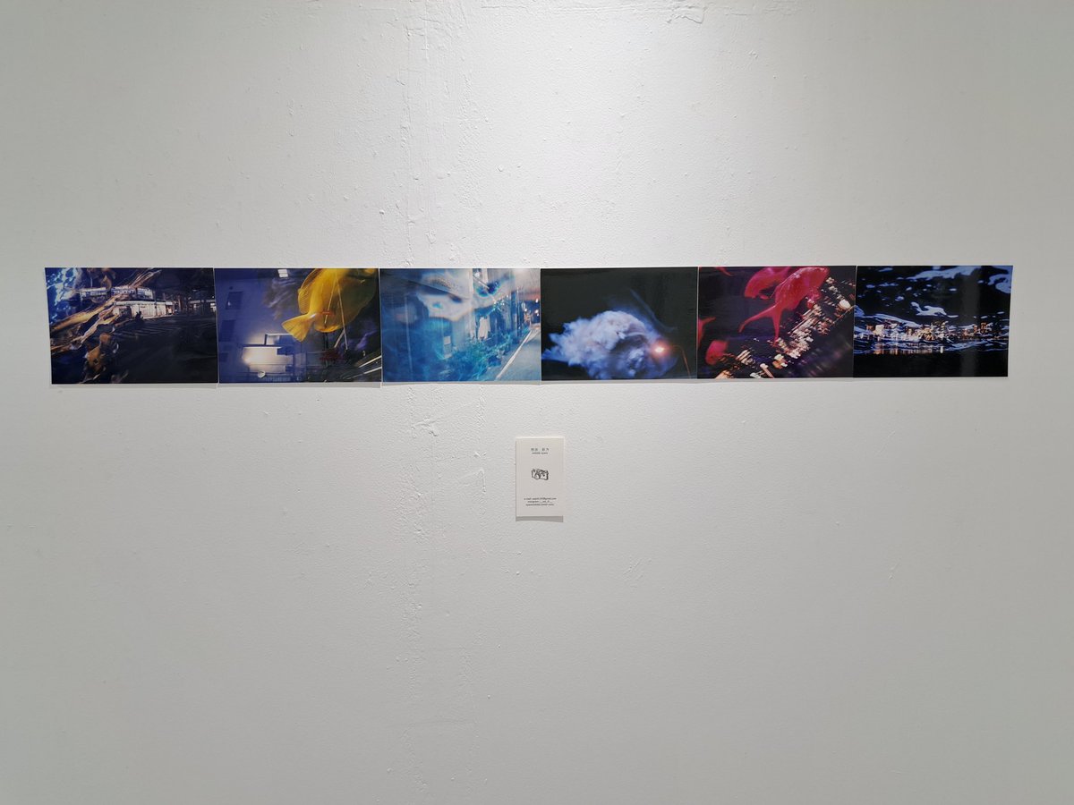 aaan0's tweet photo. Snap Shot展、ありがとうございました🐠 https://t.co/SwGbYauY3I