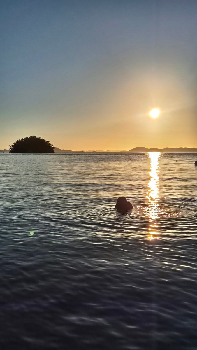Su_______098's tweet photo. 🐬🌊 https://t.co/Ba7LLPEPgI