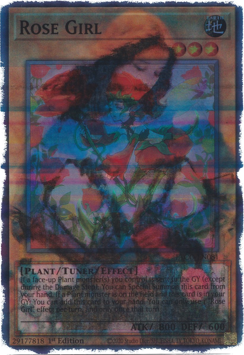 ＊•̩̩͙❅•̩̩͙˚ ♡ ˚•̩̩͙❅•̩̩͙＊ tweet media