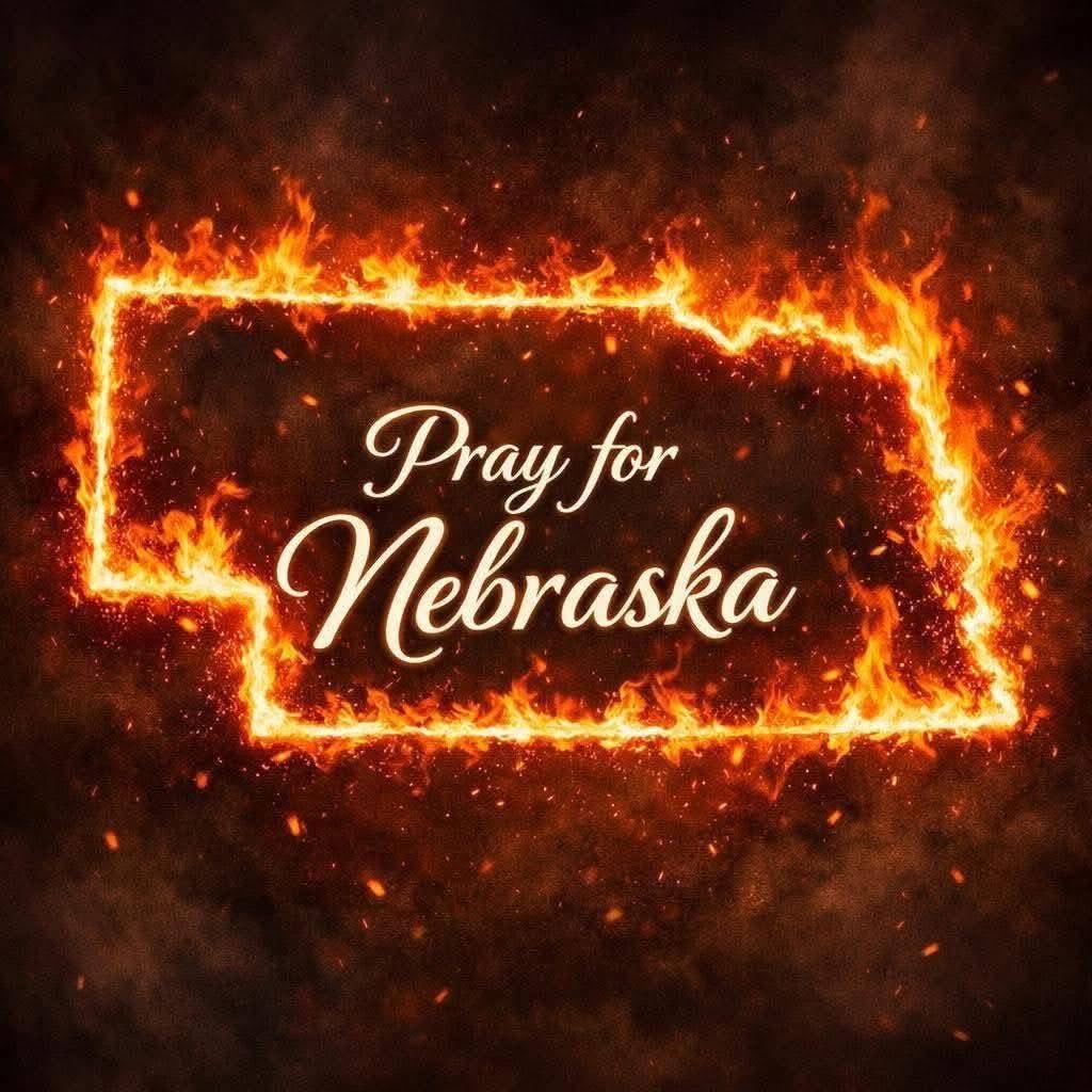 jaclyn wilson tweet media