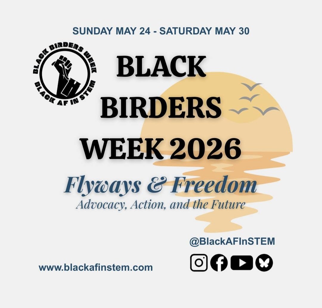 BlackInX tweet media