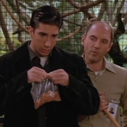 (O S O) 🐻 tweet media