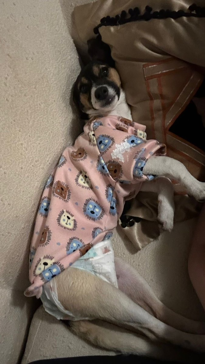 giugiu ❤️‍🔥 tweet media