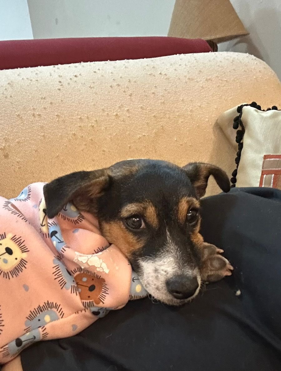 giugiu ❤️‍🔥 tweet media