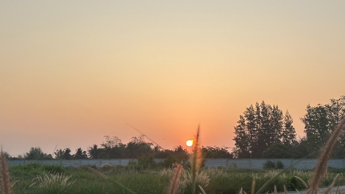 SomphongSukhopol tweet media