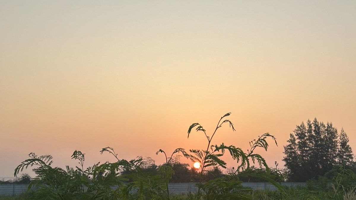 SomphongSukhopol tweet media